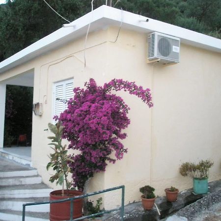 Faliraki Apartments Benitses  Buitenkant foto
