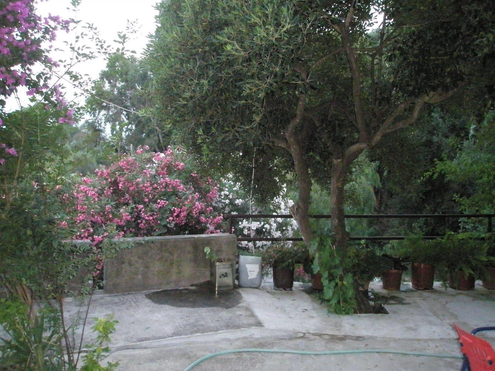 Faliraki Apartments Benitses  Buitenkant foto