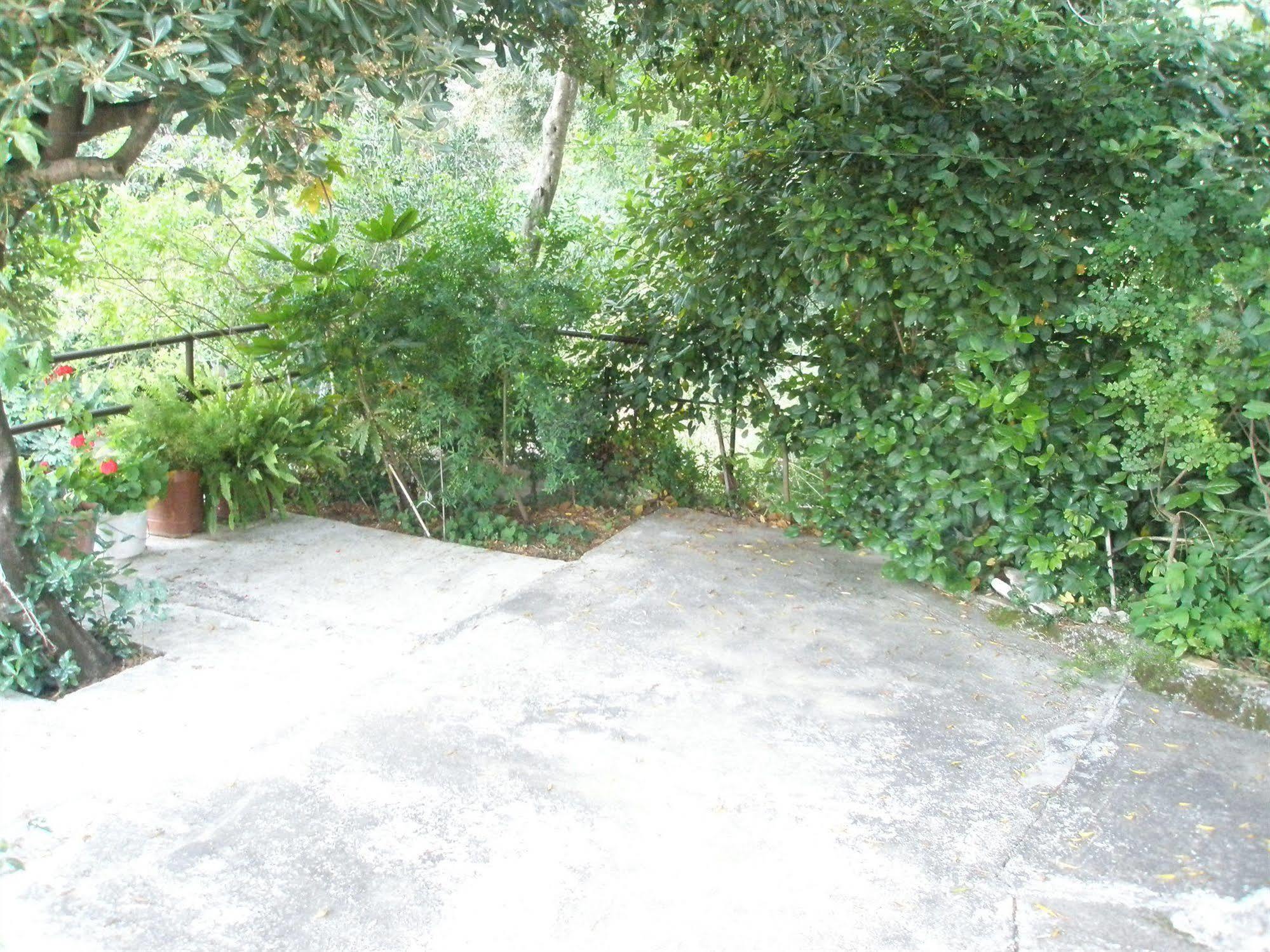 Faliraki Apartments Benitses  Buitenkant foto